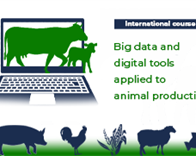 International course on Big Data and digital tools applied to livestock production
