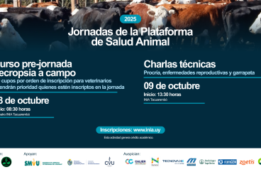 garrapata