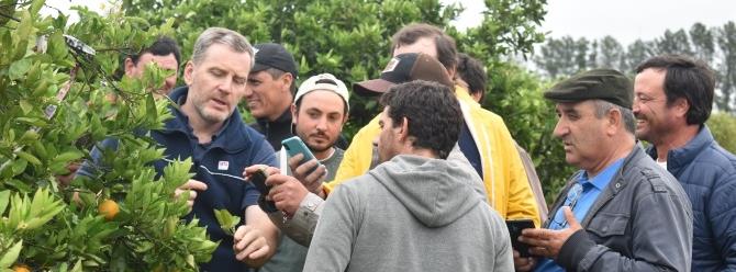 Visita a Chajarí - visitantes recorriendo el campo