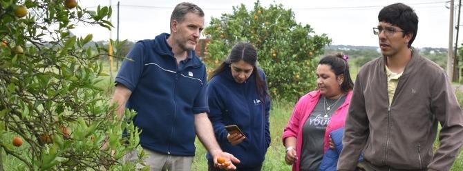 Visita a Chajarí - visitantes recorriendo el campo