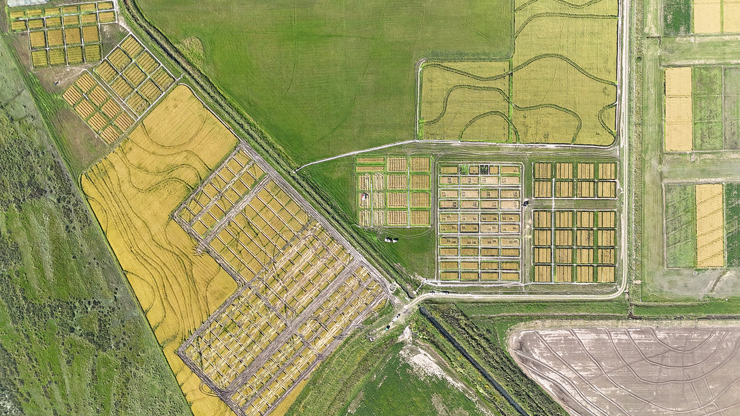 Imagen de dron de campo experimental Paso de la Laguna