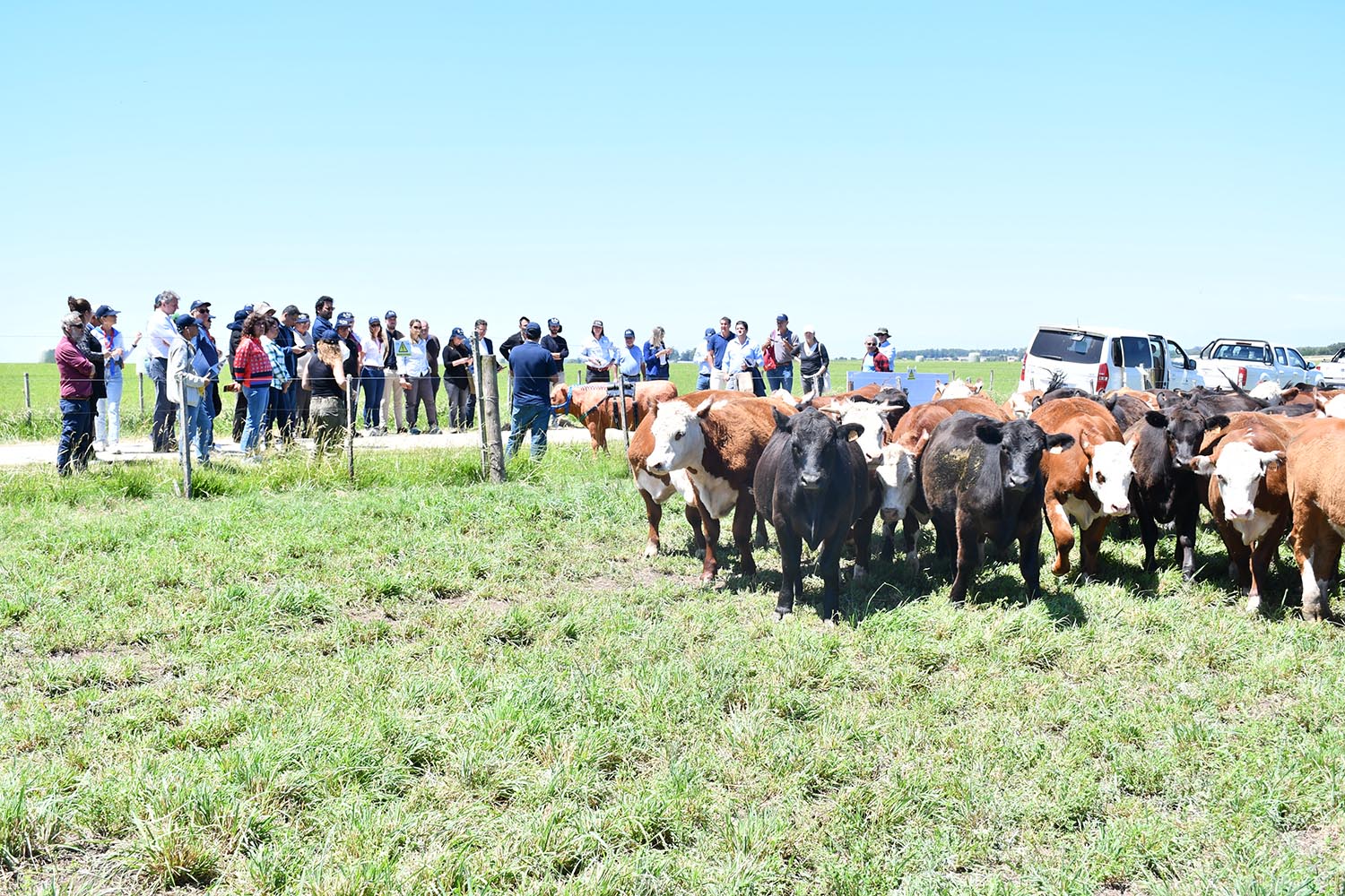 Visita INIAs a La Estanzuela eficiencia ganado