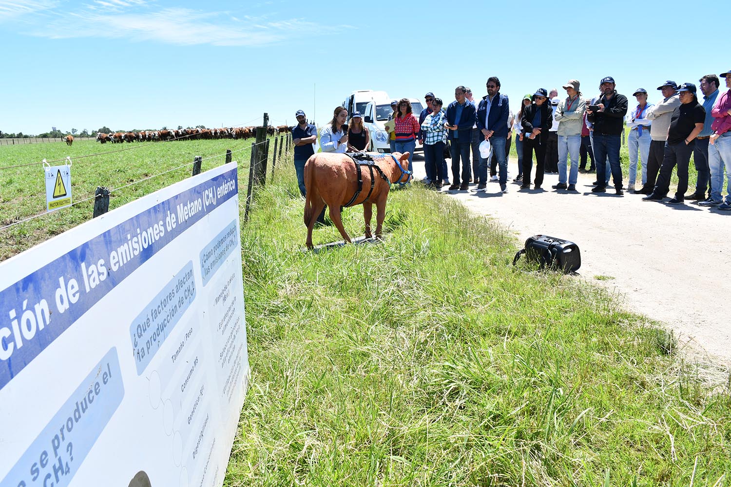 Visita INIAs a La Estanzuela eficiencia conversión