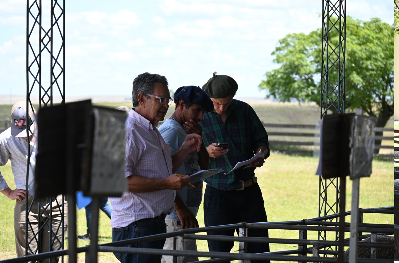 crilu 2024 entrega carneros