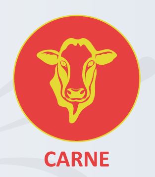 Carne