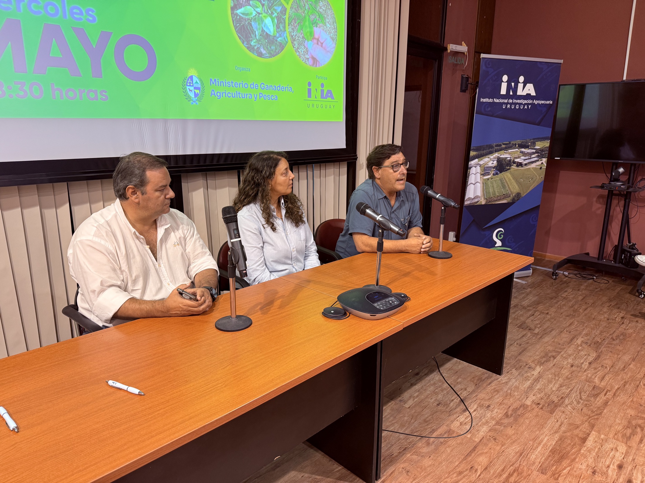 HLB en Uruguay