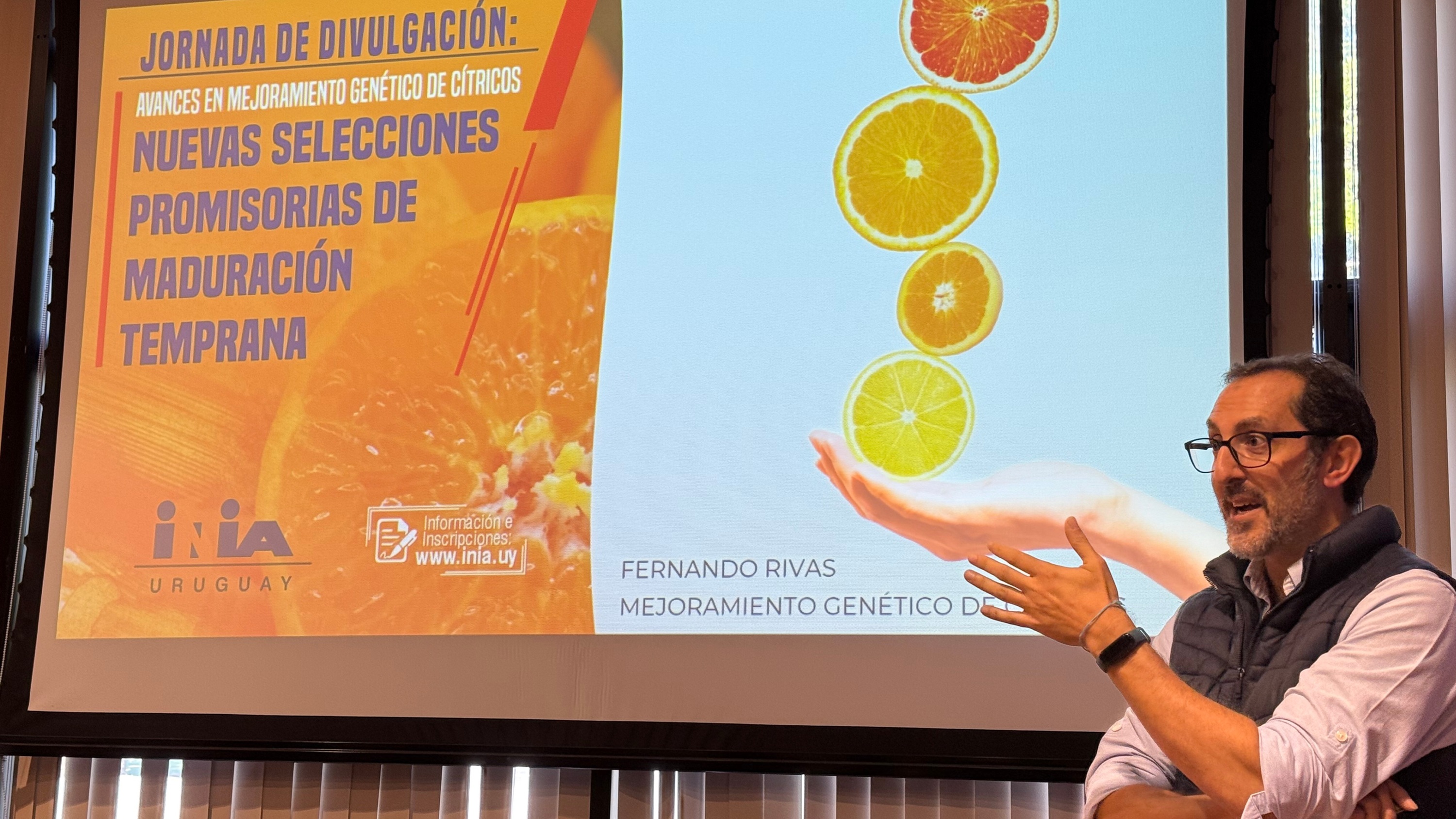 Nuevos híbridos de mandarina