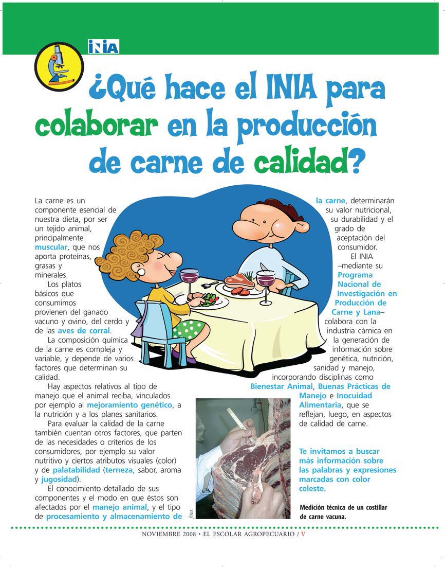 Escolar_Nov 2008