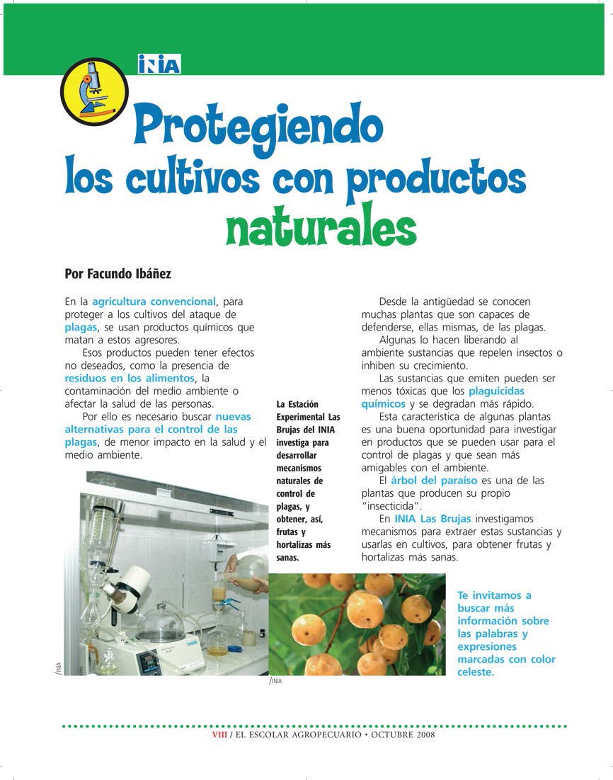 Escolar_Oct 2008