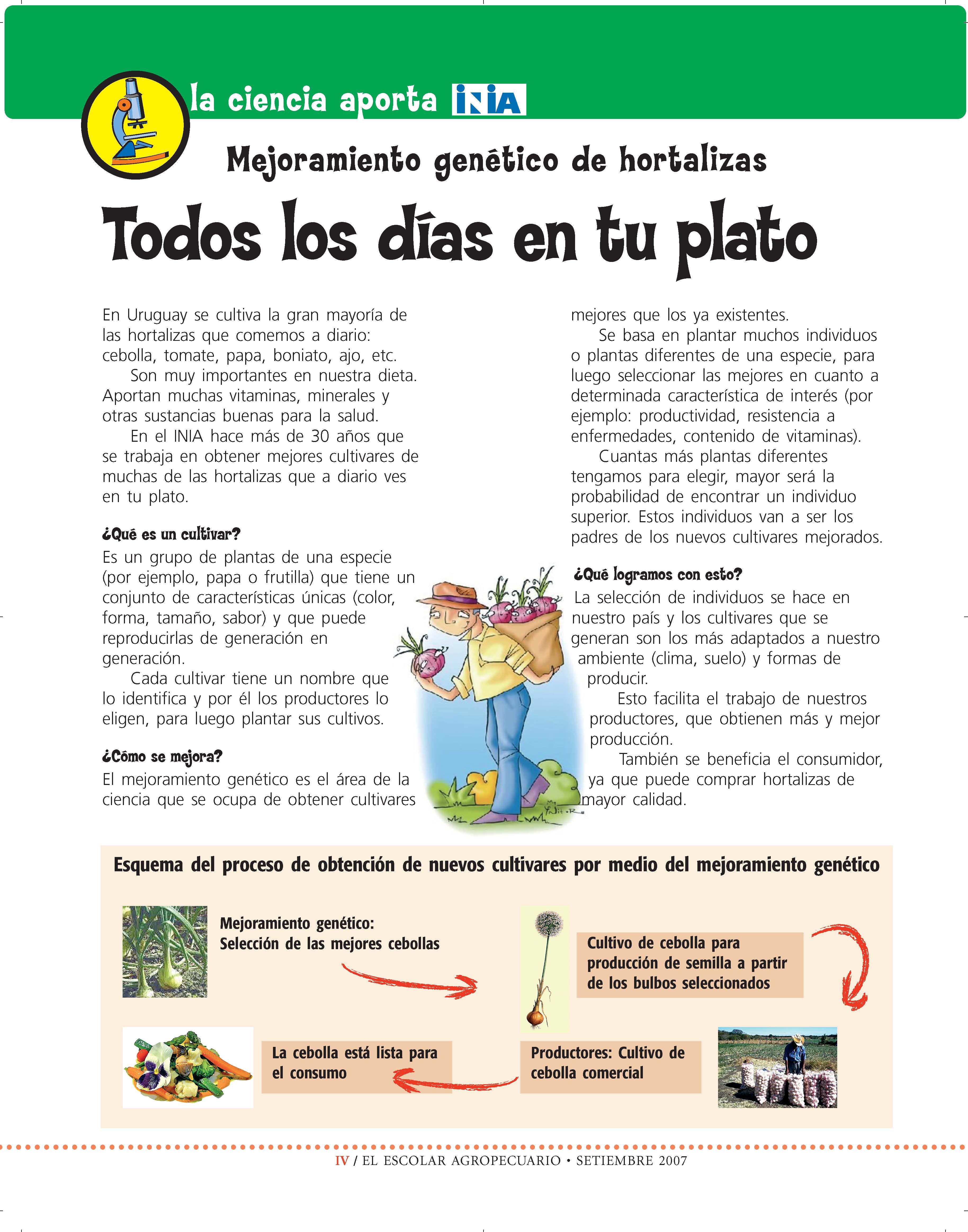 Escolar_Set 2007