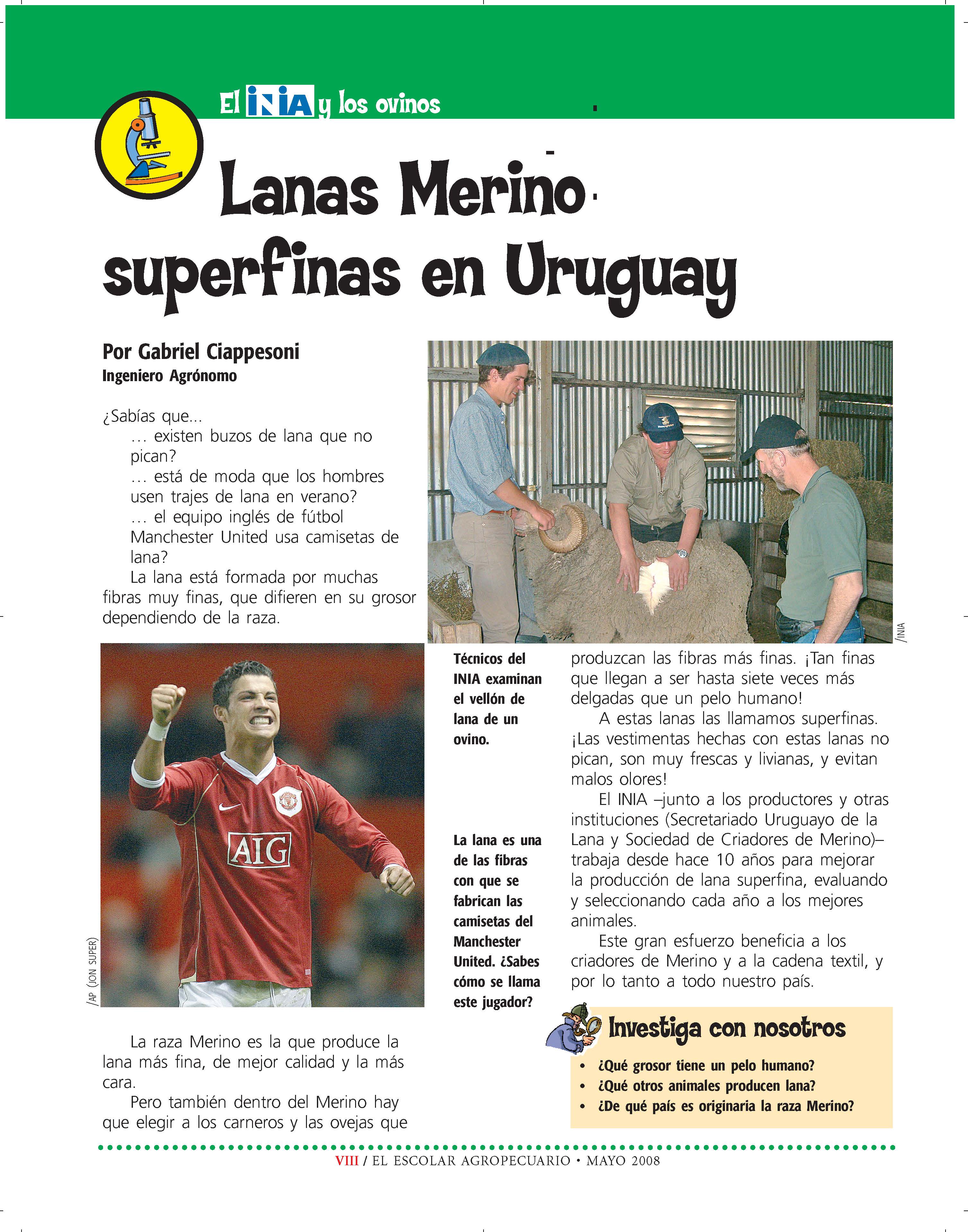 Lanas-Merino
