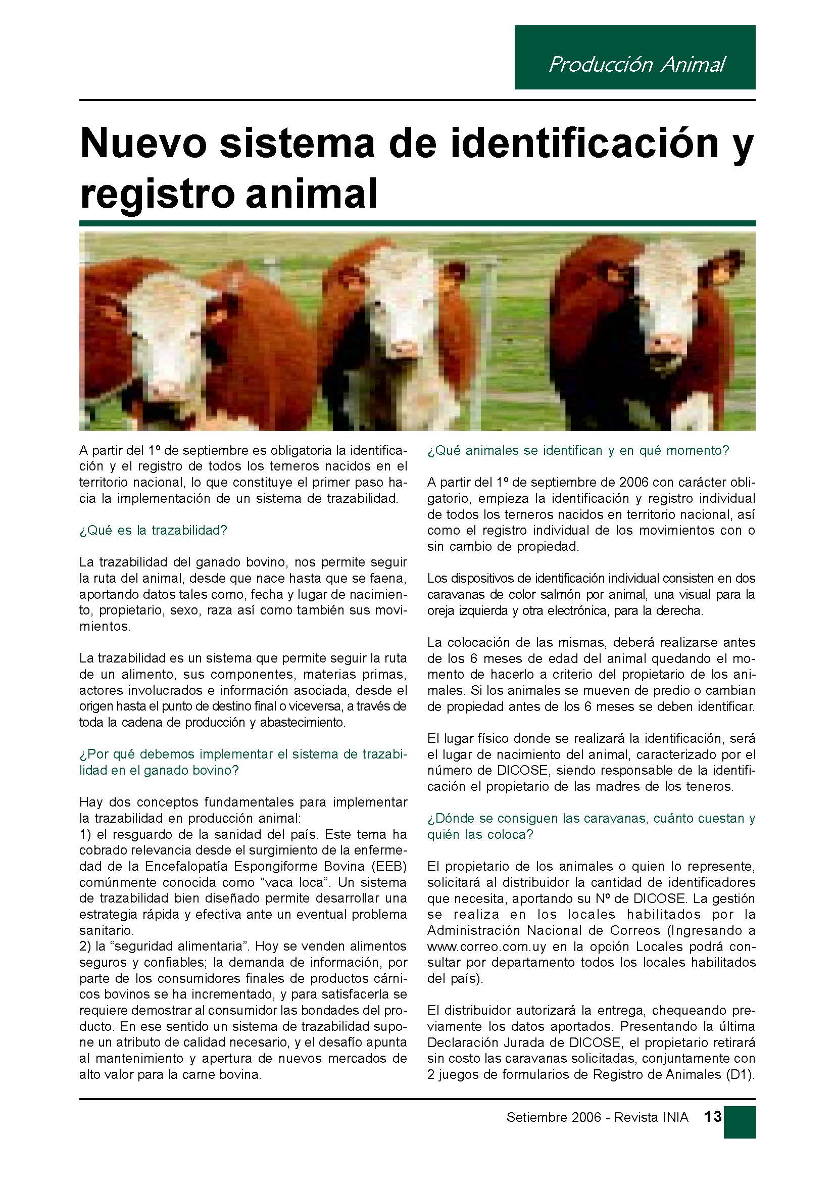 revinia-2006-08-p13