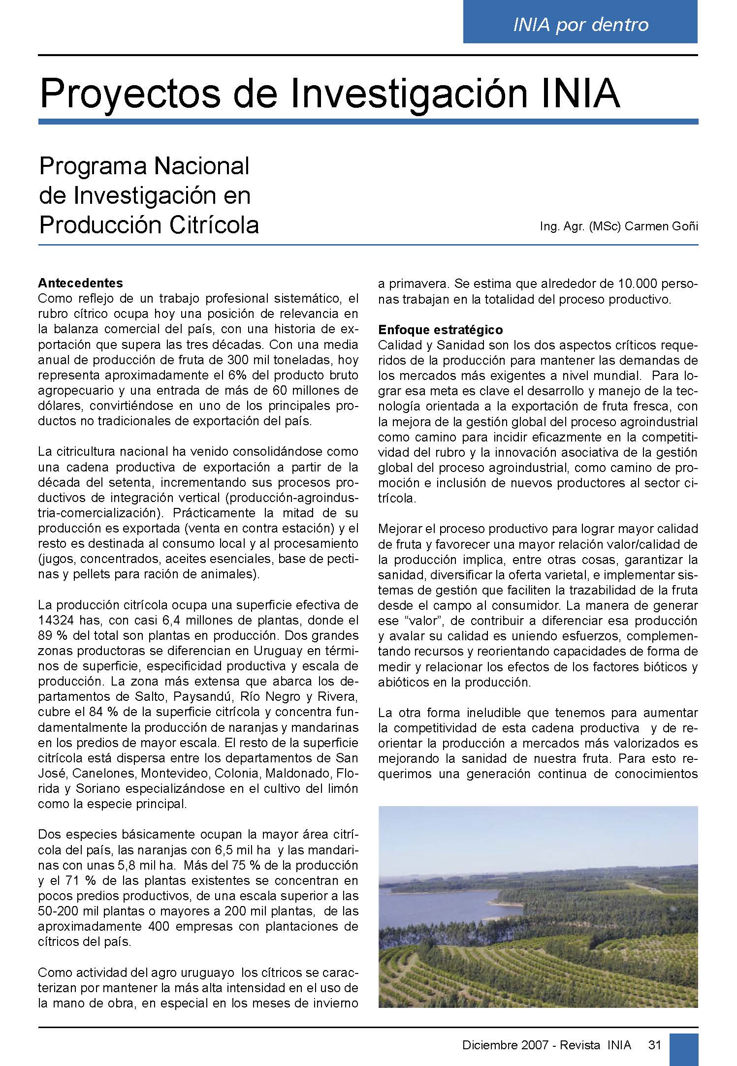 revinia-2007-13-p31-32