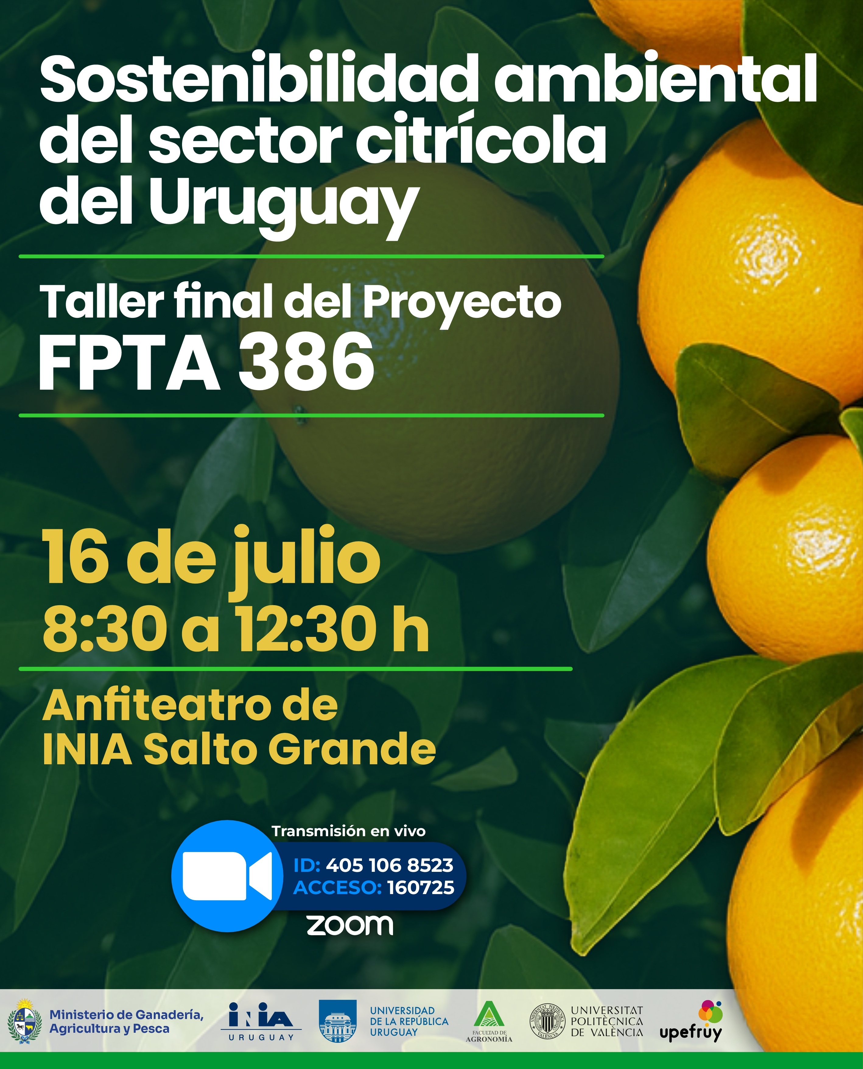 FPTA_386