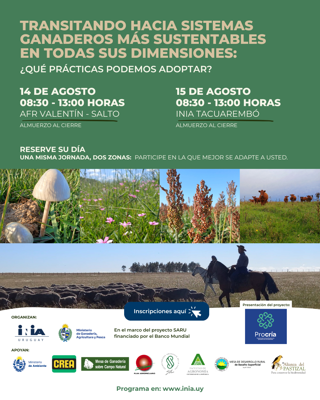 Afiche del taller “Transitando hacia sistemas ganaderos más sustentables en todas sus dimensiones: ¿qué prácticas podemos adoptar?”. Se indican dos fechas: 14 de agosto en SFR Valentín (Salto) y 15 de agosto en INIA Tacuarembó, ambas a las 08:30 horas. Incluye imágenes de campo natural, vacas, corderos, hongos y flores silvestres, junto a los logotipos de instituciones organizadoras y de apoyo.