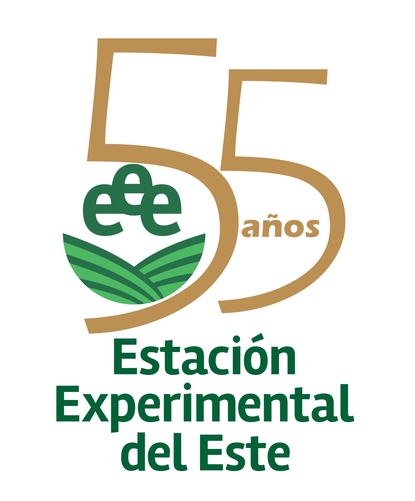 logo 55
