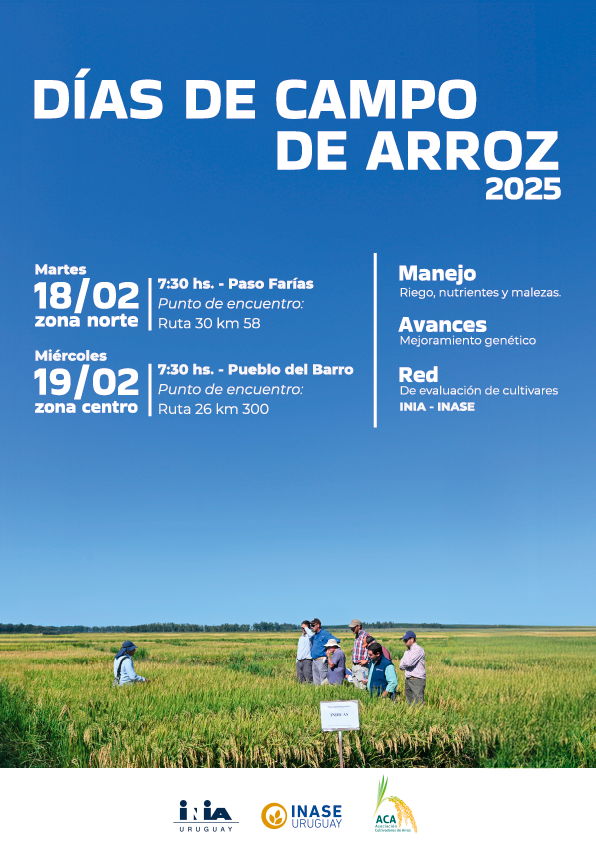 Día de campo de arroz