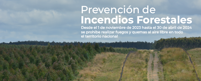 prevención de incendios forestales