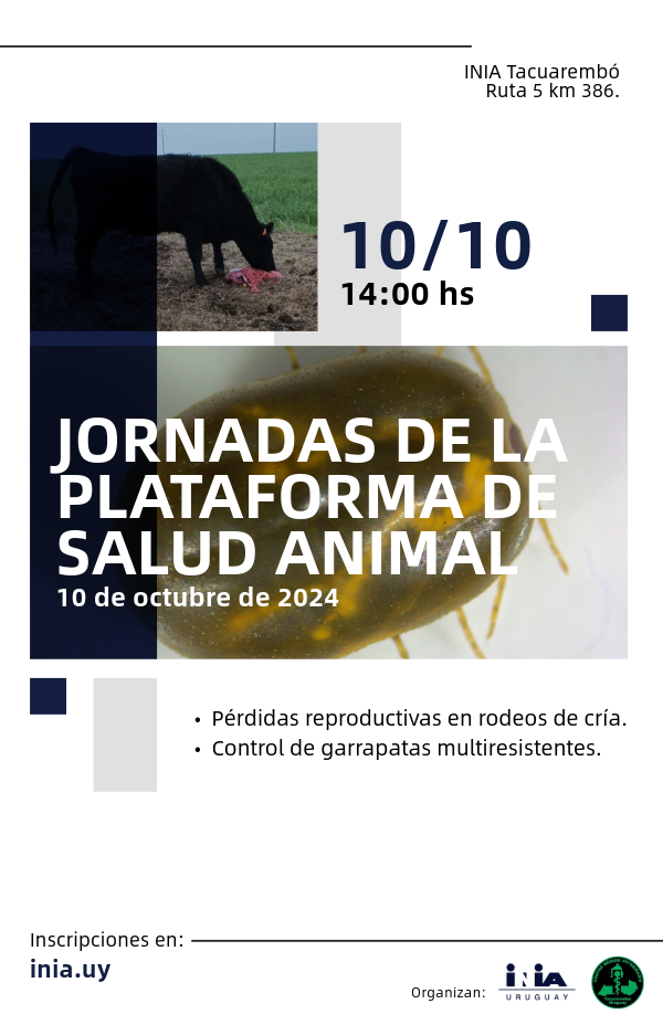 invitación jornada