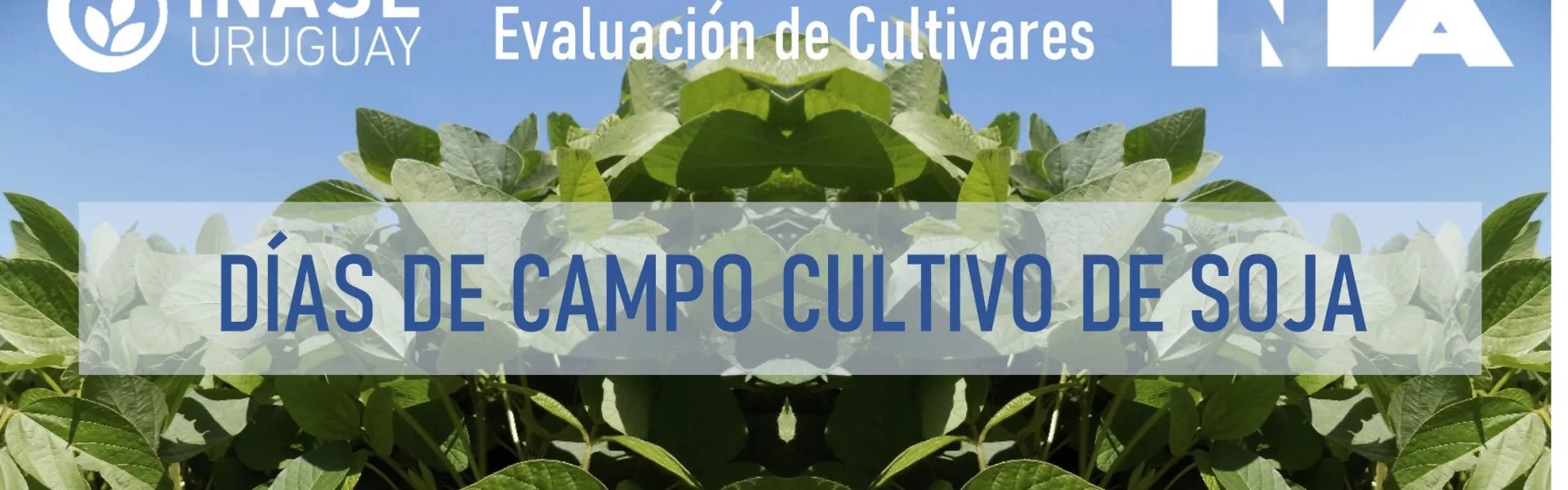 Banner día de campo cultivo de soja