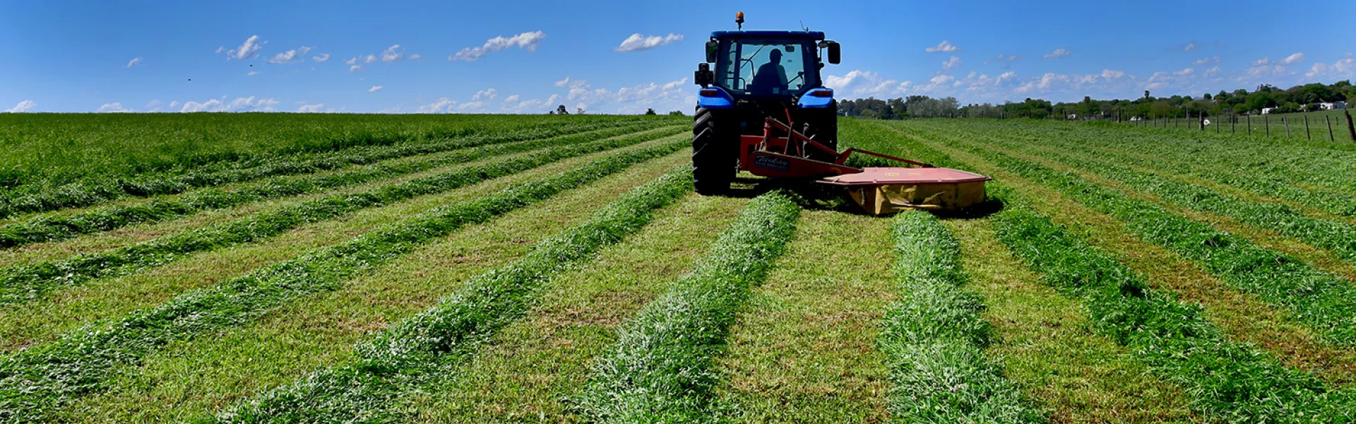 Tractor cortando pasturas