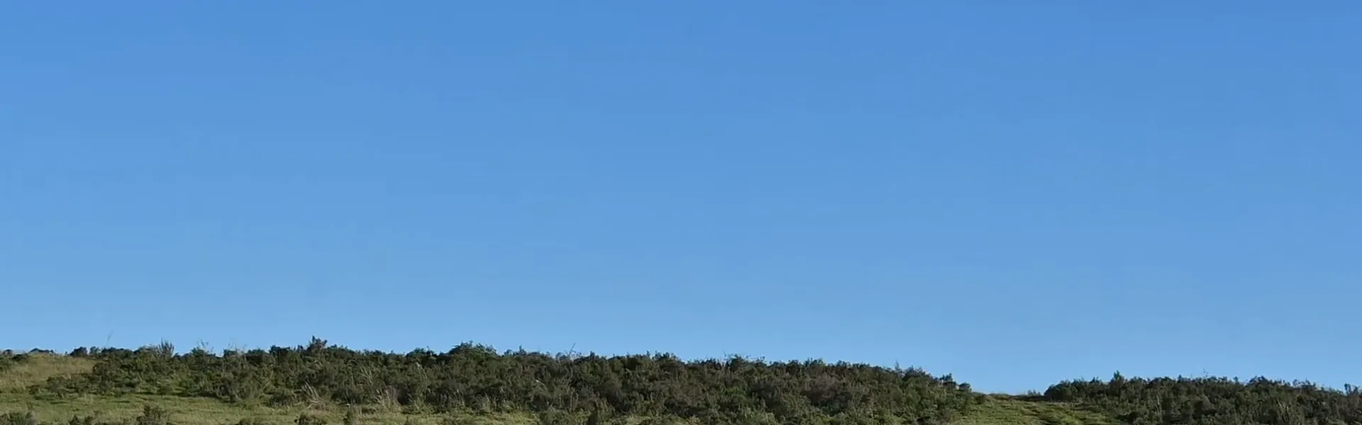 Paisaje de campo natural con cielo celeste despejado