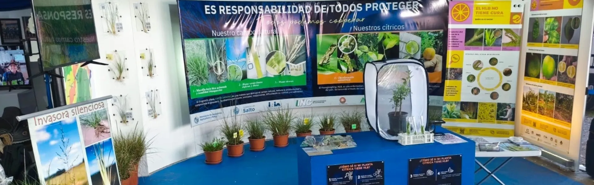 ExpoSalto_2025