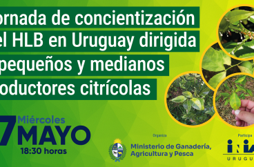 HLB en Uruguay
