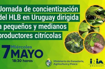 HLB en Uruguay Banner