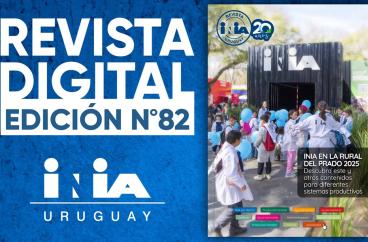 Banner Revista 82