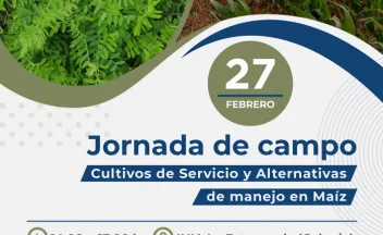 Jornada de campo - Cultivos de Servicio y Alternativas de manejo en Maíz