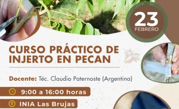 afiche curso práctico de injerto pecan