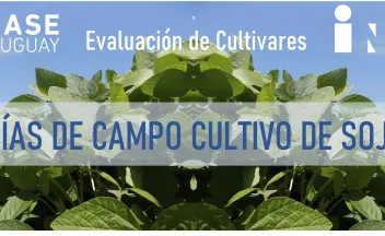 Banner día de campo cultivo de soja