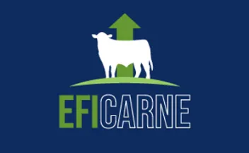 Eficarne