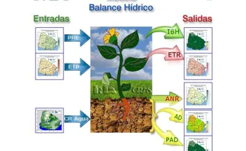 Balance hídrico