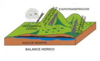 Balance Hídrico