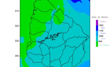 Previsión corderos