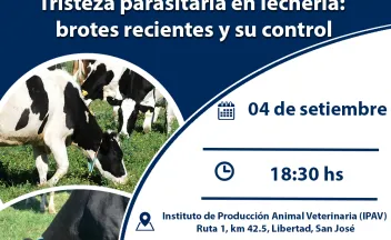 imagen de promoción de la actividad