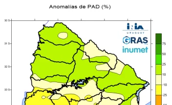 Anomalía de PAD