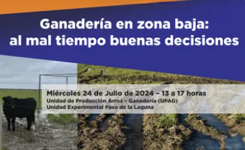 Ganadería en zona baja: al mal tiempo buenas decisiones