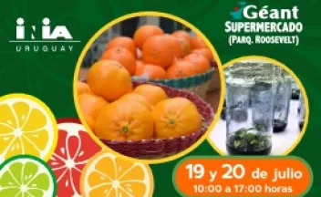 Muestra de citrus en Geant