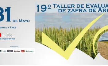 19 Taller de evaluación de zafra de arroz