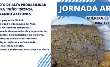 Jornada de Arroz 2023