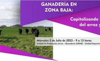 Ganadería en zona baja