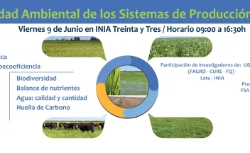 Sostenibilidad ambiental de los sistemas de producción arroceros