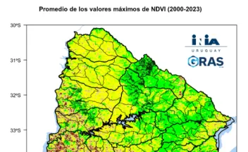 NDVI medias mensuales