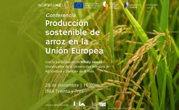 Producción sostenible de arroz en la Unión Europea