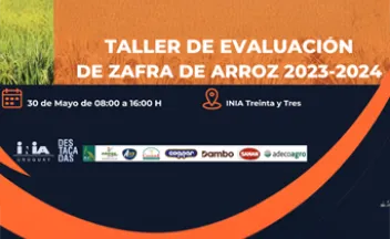 Taller de evaluación de zafra de arroz 2023-2024