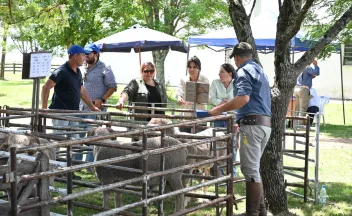 CRILU 2024 ENTREGA CARNEROS