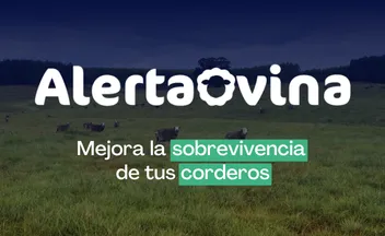 logo de alerta ovina con la leyenda: Mejora la sobrevivencia de tus corderos